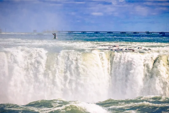 Cascate del Niagara e paesaggio del Niagara River