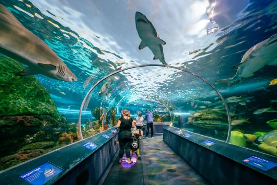 Ripley’s Aquarium of Canada a Toronto