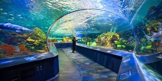 Ripley’s Aquarium of Canada a Toronto