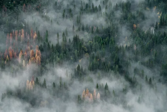 Strada tra i colori autunnali al Parc national du Mont-Tremblant